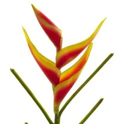 Heliconia Artificial Flower, 4ct. 7 Heliconia Artificial Flower, 4ct. -Michaels Shop D386609S 3