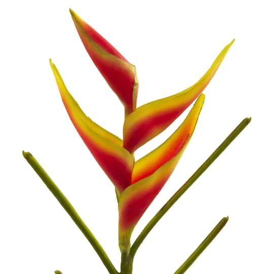 Heliconia Artificial Flower, 4ct. 4 Heliconia Artificial Flower, 4ct. - Image 4