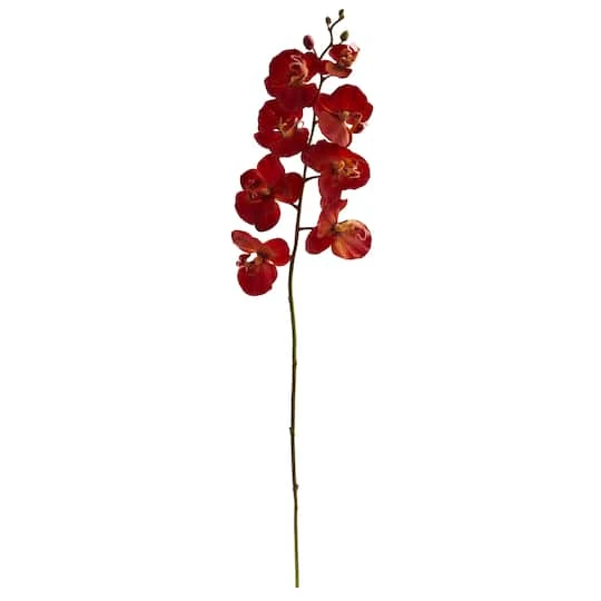 Red Autumn Moth Orchid Flower Stems, 6ct. 2 Red Autumn Moth Orchid Flower Stems, 6ct. - Image 2