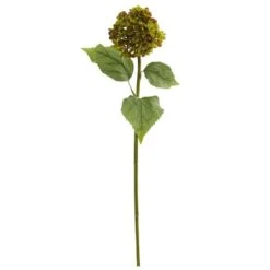 Hydrangea Stem, 4ct. Green