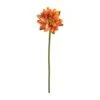 Lotus Flower Stems, 4ct. Autumn Orange
