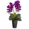23" Double Orchid Arrangement In Vase Assorted
