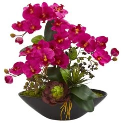 21" Moth Orchid & Mixed Succulent Garden Arrangement In Black Vase Pink 3 21" Moth Orchid & Mixed Succulent Garden Arrangement In Black Vase Pink -Michaels Shop D386894S 1 1