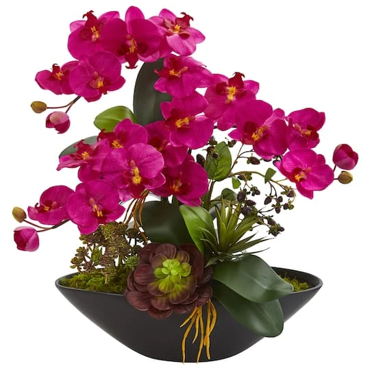 21" Moth Orchid & Mixed Succulent Garden Arrangement In Black Vase Pink 1 21" Moth Orchid & Mixed Succulent Garden Arrangement In Black Vase Pink