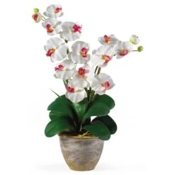 2ft. Double Moth Orchid Silk Flower Arrangement White
