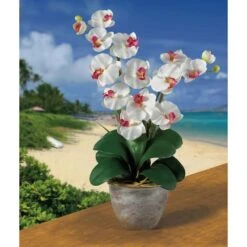 2ft. Double Moth Orchid Silk Flower Arrangement White -Michaels Shop D387008S 2