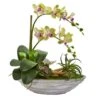 Phalaenopsis Orchid And Succulent Artificial Arrangement In White Vase