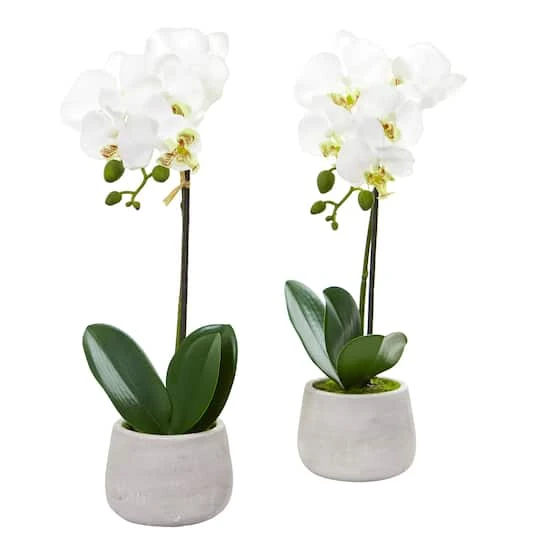 Phalaenopsis Orchid Artificial Arrangement (Set Of 2) 2 Phalaenopsis Orchid Artificial Arrangement (Set Of 2) - Image 2