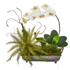 20" Phalaenopsis Orchid & Fern Arrangement In Metal Tray Cream