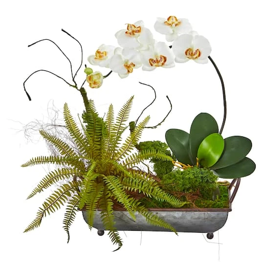 20" Phalaenopsis Orchid & Fern Arrangement In Metal Tray Cream 1 20" Phalaenopsis Orchid & Fern Arrangement In Metal Tray Cream