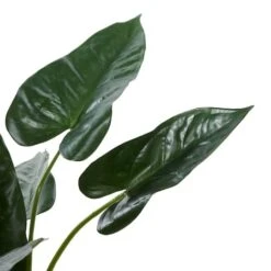 Tall Artificial Anthurium Leaf Plant WMetal Pot For Indoor Decor, 18" -Michaels Shop D404857S 4