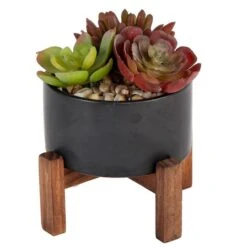 Flora Bunda® 8" Succulent Mix In Pot With Stand