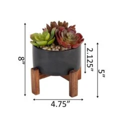 Flora Bunda® 8" Succulent Mix In Pot With Stand -Michaels Shop D511304S 2