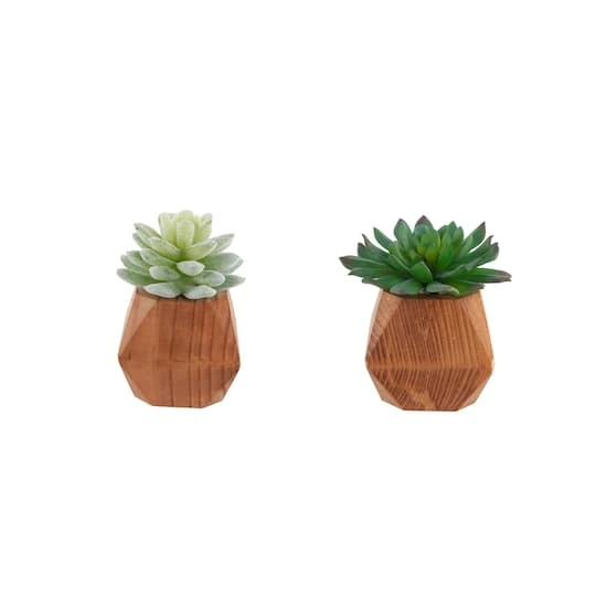 Flora Bunda® 4.5" Succulent Plant In Wood Pot, 2ct. 2 Flora Bunda® 4.5" Succulent Plant In Wood Pot, 2ct. - Image 2
