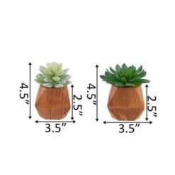 Flora Bunda® 4.5" Succulent Plant In Wood Pot, 2ct. 6 Flora Bunda® 4.5" Succulent Plant In Wood Pot, 2ct. -Michaels Shop D511305S 2