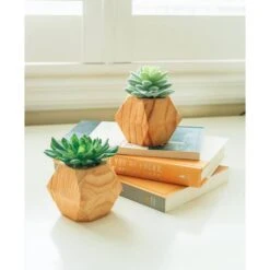 Flora Bunda® 4.5" Succulent Plant In Wood Pot, 2ct. 7 Flora Bunda® 4.5" Succulent Plant In Wood Pot, 2ct. -Michaels Shop D511305S 3