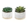 Flora Bunda® 6" Succulent In Marble Container, 2ct.