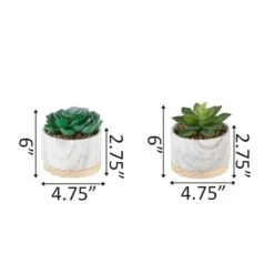 Flora Bunda® 6" Succulent In Marble Container, 2ct. -Michaels Shop D511307S 2