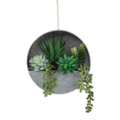 Flora Bunda® 8" Succulent In Hanging Wall Planter