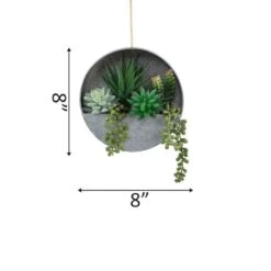 Flora Bunda® 8" Succulent In Hanging Wall Planter 6 Flora Bunda® 8" Succulent In Hanging Wall Planter -Michaels Shop D511310S 2