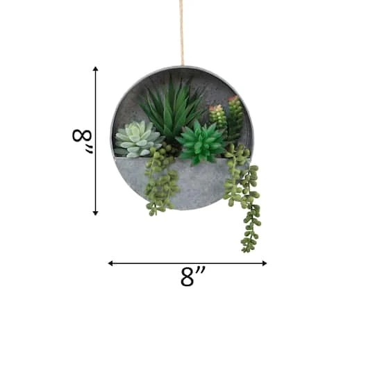 Flora Bunda® 8" Succulent In Hanging Wall Planter 3 Flora Bunda® 8" Succulent In Hanging Wall Planter - Image 3