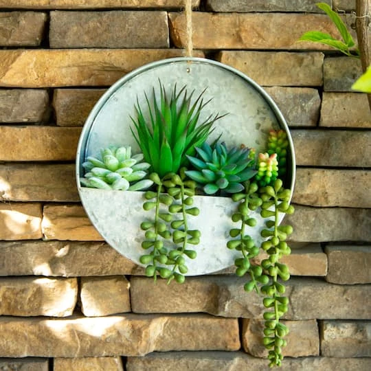 Flora Bunda® 8" Succulent In Hanging Wall Planter 4 Flora Bunda® 8" Succulent In Hanging Wall Planter - Image 4