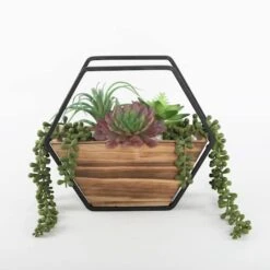 Flora Bunda® 11" Succulent Arrangement In Hexagon Wood & Metal Wall Accent