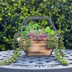 Flora Bunda® 11" Succulent Arrangement In Hexagon Wood & Metal Wall Accent -Michaels Shop D511311S 3
