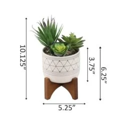 Flora Bunda® 4" Faux Succulents In Ceramic Footed Stand -Michaels Shop D511312S 2