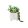 Flora Bunda® 10.5" Mixed Succulent Arrangement In Footed Ivory Cathedral Container