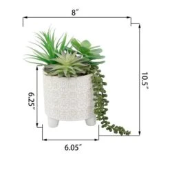 Flora Bunda® 10.5" Mixed Succulent Arrangement In Footed Ivory Cathedral Container -Michaels Shop D511313S 2
