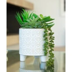 Flora Bunda® 10.5" Mixed Succulent Arrangement In Footed Ivory Cathedral Container -Michaels Shop D511313S 3