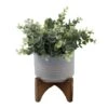 Flora Bunda® 11.5" Gray Eucalyptus In Ceramic Pot On Wood Stand