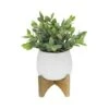 Flora Bunda® 10.7" Tea Leaf In Ridge Pot On Stand