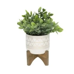 Flora Bunda® 11" Tea Plant In Geo Ceramic Footed Pot