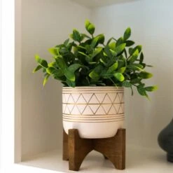 Flora Bunda® 11" Tea Plant In Geo Ceramic Footed Pot -Michaels Shop D511319S 3