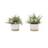 Flora Bunda® 7.5" Eucalyptus & Tea Leaf Plant In Cement Pot With Wood Base, 2ct.