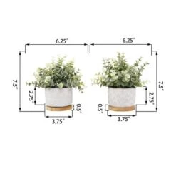 Flora Bunda® 7.5" Eucalyptus & Tea Leaf Plant In Cement Pot With Wood Base, 2ct. -Michaels Shop D511320S 2