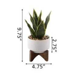 Flora Bunda® 9.7" Snake Plant In Ceramic Pot With Wood Stand -Michaels Shop D511323S 2