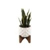 Flora Bunda® 12.5" Snake Plant In Ceramic Planter With Stand