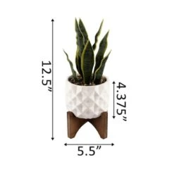 Flora Bunda® 12.5" Snake Plant In Ceramic Planter With Stand -Michaels Shop D511324S 2