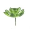 Flora Bunda® Large Little Gem Succulent Pick, 6ct.