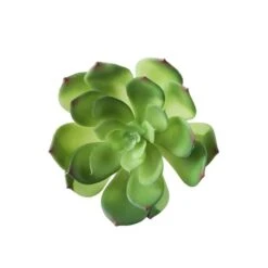 Flora Bunda® Large Little Gem Succulent Pick, 6ct. -Michaels Shop D581945S 2