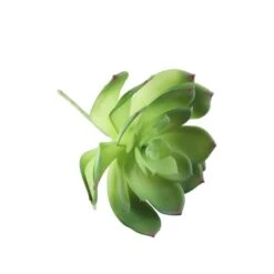 Flora Bunda® Large Little Gem Succulent Pick, 6ct. -Michaels Shop D581945S 3
