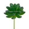 Flora Bunda® Stonecrop Succulent Pick, 12ct.