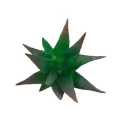 Flora Bunda® Aloe Vera Succulent Pick, 6ct. -Michaels Shop D581954S 2