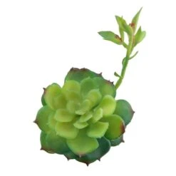 Flora Bunda® Echeveria Lola Succulent Pick, 6ct. -Michaels Shop D581955S 2