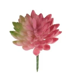 Flora Bunda® Pink Bean Succulent Pick, 12ct. -Michaels Shop D581958S 2