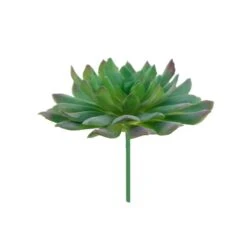 Flora Bunda® Succulent Pick, 6ct. -Michaels Shop D581959S 2