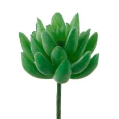 Flora Bunda® Green Small Little Gem Succulent Pick, 12ct.